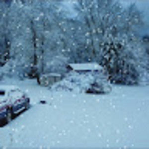 Meet your Posher, Maureen